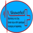 Logo van Slouwerhof Academy - Bijscholing in de Zorg