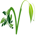 Logo Veggie4U