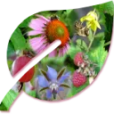 Logo Tasty Biotope