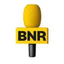Logo van BNR at Work