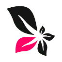 Logo DivFlo B.V.