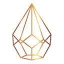 Logo van Novus Prothese