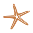 Logo van St(r)andplaats Nederzandt