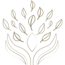 Logo van VAibe