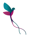Logo van Kwekerij Duijn-Hove B.V.