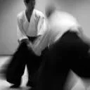 Logo van Aikido School Leiden