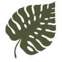 Logo van Epionea