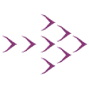 Logo VOGELVLUCHT BV