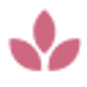 Logo van Baushe
