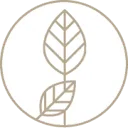 Logo van Djaja.nl