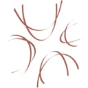 Logo COVEON