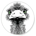Logo van EMU-Instruments