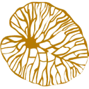 Logo van HeelHuus Gezondheidscentrum