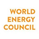 Logo van Future Energy Leaders The Netherlands