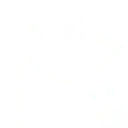 Logo van Nik van Hoogstraten