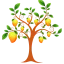 Logo van Stichting De Mangoboom