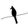 Logo van Birdbrain