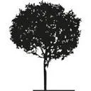 Logo van Advocatenkantoor Exaten