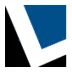 Logo LomaxSystems BV