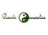 Logo van Pascale's Healing Hands