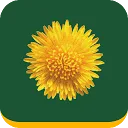 Logo van Mijn Buitenplaats Makelaardij