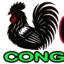Logo SuriVision