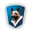 Logo van Gool Security
