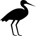 Logo van BlackStork.io