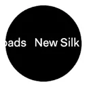 Logo van New Silk Roads