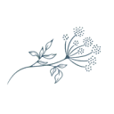 Logo van Verloskundigen Assendelft