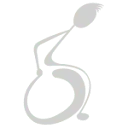 Logo van TNS revalidatie service
