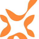 Logo van Borgings Combinatie Nederland