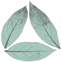 Logo van 🌿Laurierkwekerij Gova