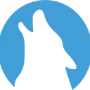 Logo van E-Wolve