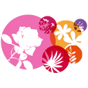 Logo van Bouquetnet B.V.