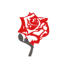 Logo van Roozeboom Campers