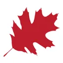 Logo van Boom De Kwekerij