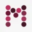 Logo The MusiCompany