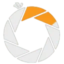 Logo VideoBird