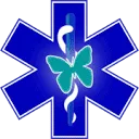 Logo Wish Ambulance