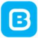 Logo Buddy Payment