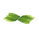 Logo De Groene Artisanen
