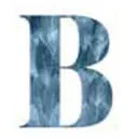 Logo van Bladendokter