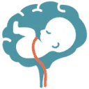 Logo van Kennispoort Verloskunde