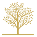 Logo van Nobilis Advies