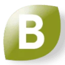 Logo Bright Nature Interiors