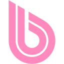 Logo van BWT Nederland B.V.