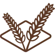 Logo van Markus AND Markus Stroopwafels B.V.