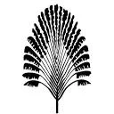Logo van KYBOE Symons AND Panchenko