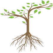 Logo van KIEM Institute BV